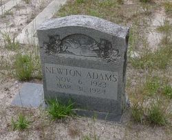 Newton Adams 