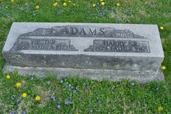 Harry E. Adams Sr.