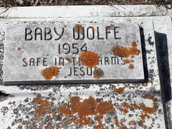 Baby Wolfe 