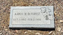 Aaron M DeForest 