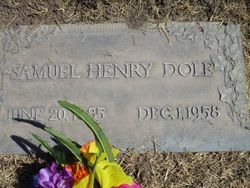 Samuel Henry Dole 