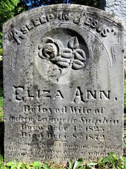 Eliza Ann Sutphin 