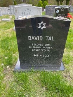 David Tal 