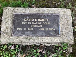 David E. Bailey 