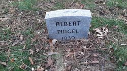 Albert Pingel 