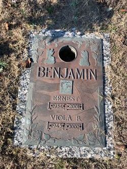 Viola <I>Brown</I> Benjamin 
