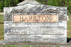 Henry Newton Hamilton 