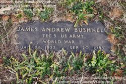 James Andrew Bushnell 