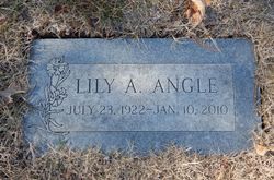 Lily Anna <I>Demieville</I> Angle 
