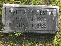 Walter Robert Hester 