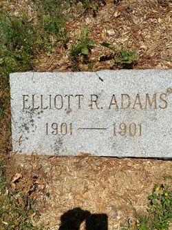 Elliott R. Adams 