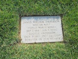 James William Anderson 