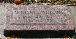 Anthony J Williams 