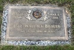 Icle A <I>McConnaughay</I> Wallack Brauer 