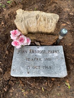 John Ambrose Parks 