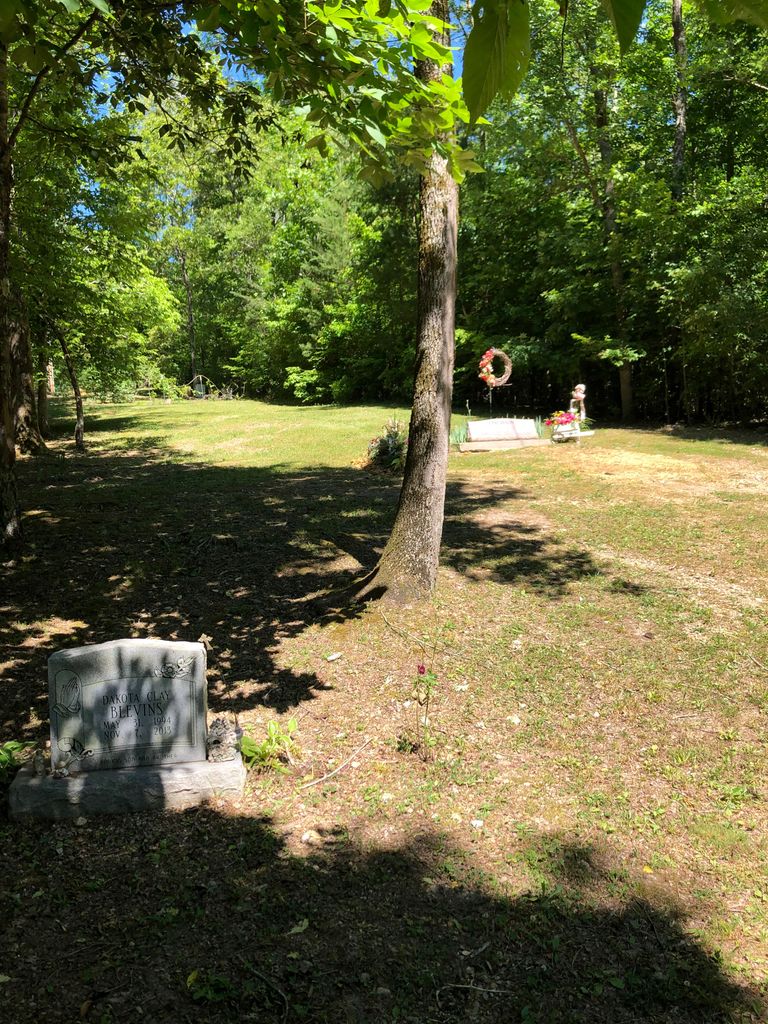 Finlayson Family Cemetery
