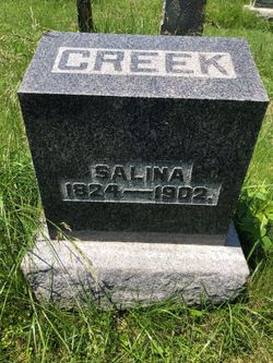 Salina <I>Paddock</I> Creek 