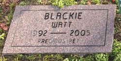 Blackie Watt 