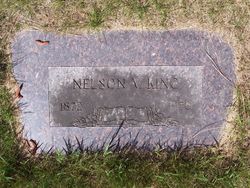 Nelson V King 
