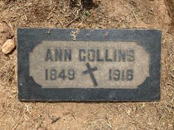 Ann Collins 