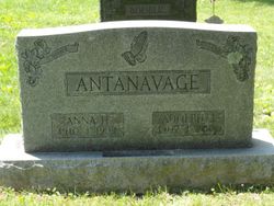 Adolph J Antanavage 