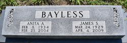 Anita Fay <I>Allison</I> Bayless 