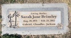 Sarah Jane Brimley 