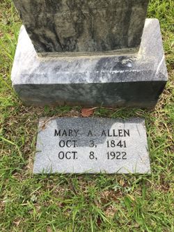 Mary Ann <I>Waters</I> Allen 