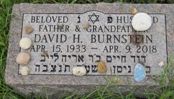 David H Burnstein 