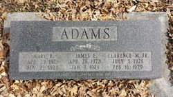 Clarence Adams Jr.