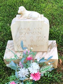 Carol Ann Bowman 