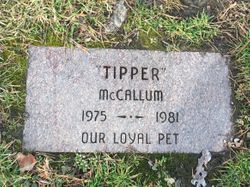 Tipper McCallum 