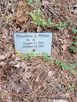Woodrow A Wilson 