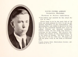 David Cicero Ashley 