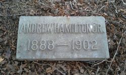 Andrew Hamilton Jr.