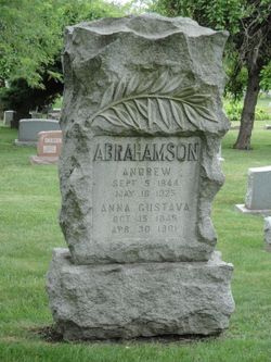 Anna Abrahamson 
