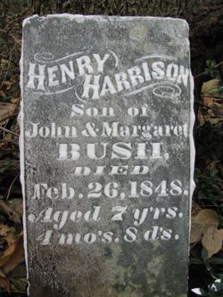 Henry Harrison Bush 