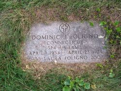 Dominic J Foligno 