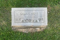 Celia Elizabeth <I>Gray</I> Akins 