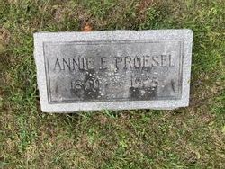 Anna Elizabeth “Annie” <I>Horsman</I> Proesel 