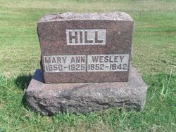 Mary Ann <I>Hinton</I> Hill 