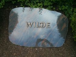 Wilde 