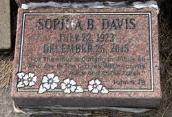Sophia Bertha “Sue” <I>Krueger</I> Davis 