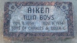 2 Infant Twin Son Aiken 