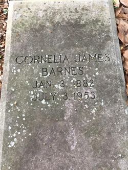 Cornelia “Neil” <I>James</I> Barnes 
