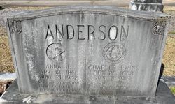Charles Ewing Anderson 