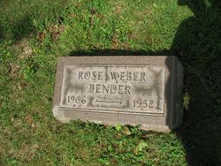 Rose <I>Weber</I> Bender 