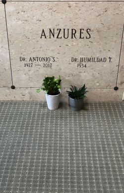 Antonio Sunbiangco Anzures 