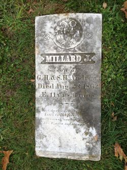 Millard J Andrews 
