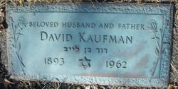 David Kaufman 
